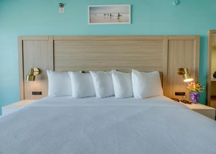 Hotel Paradise Plaza 3*